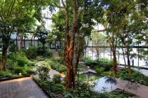 New York, Ford Foundation Building Tropical Garden